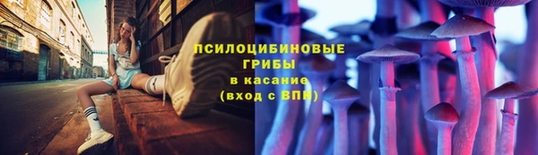 меф Алексин