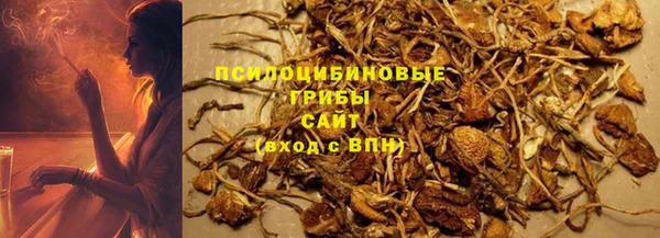 ешки Инсар