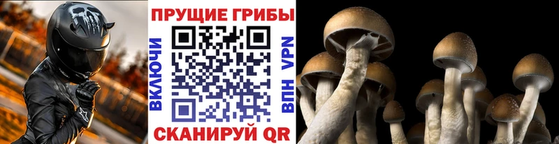 Галлюциногенные грибы MAGIC MUSHROOMS  Тольятти 
